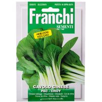Franchi Sementi Pac-Choy